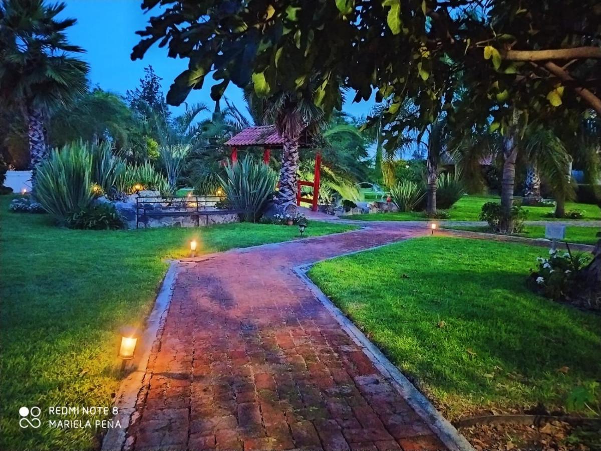 Hotel Palmas Teotihuacán San Juan Teotihuacán Exterior foto